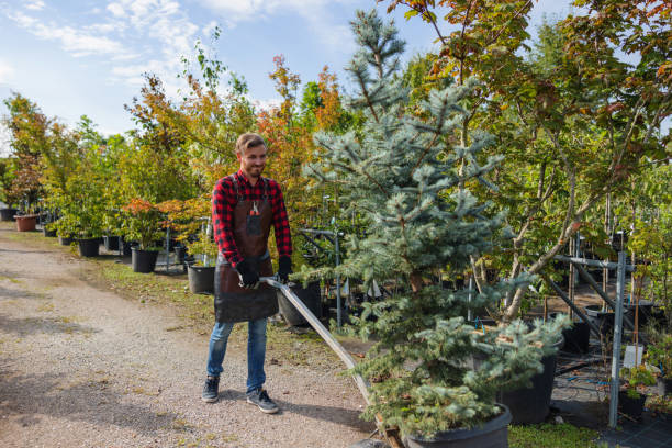 Best Tree Branch Trimming  in Cera, AL